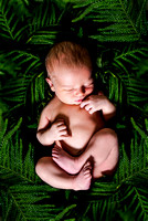 Wilson Family Newborn session in Bartow, FL