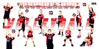 TBCAL Varsity Volleyball 2015